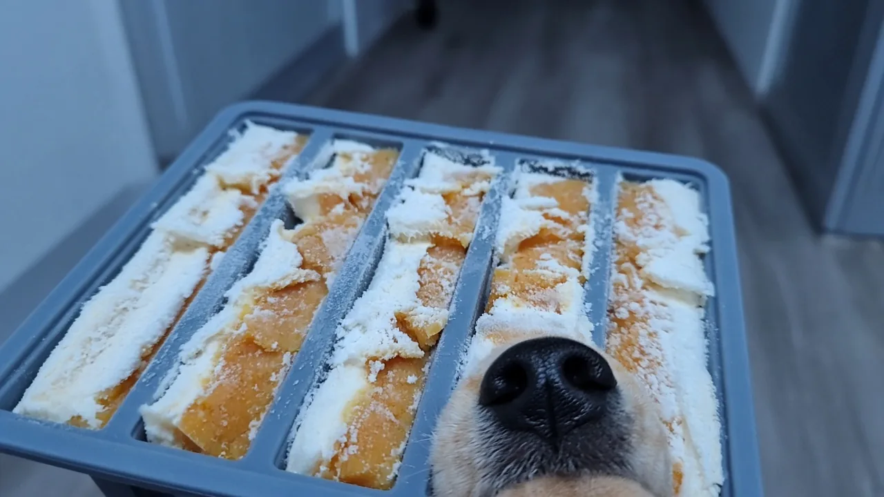 Frozen DIY lick mat for dogs with yogurt and pumpkin layers taken out of the freezer
